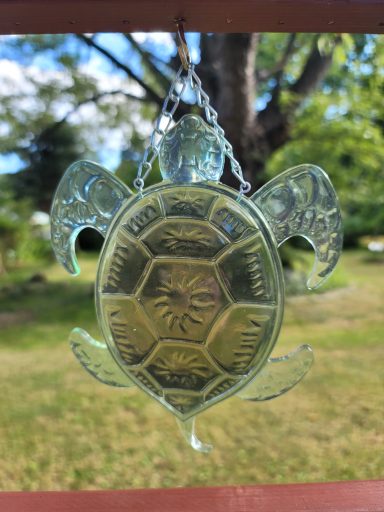 Semi-clear green sea turtle