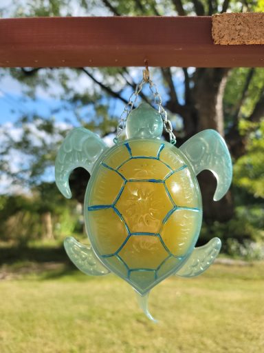 Green sea turtle with a yellow back
